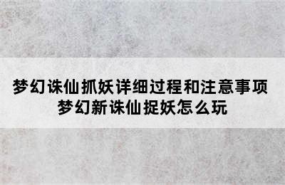 梦幻诛仙抓妖详细过程和注意事项 梦幻新诛仙捉妖怎么玩